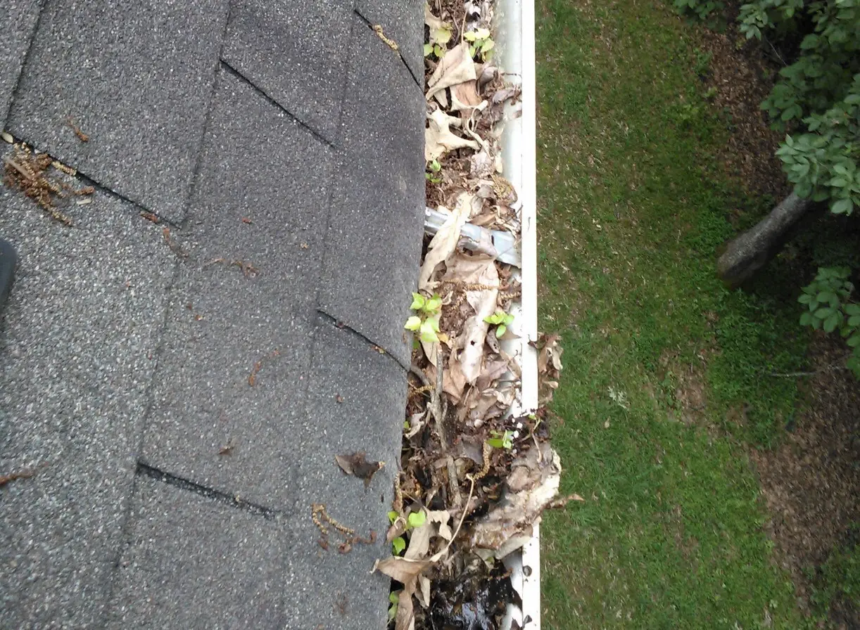 Gutter Cleaning Services